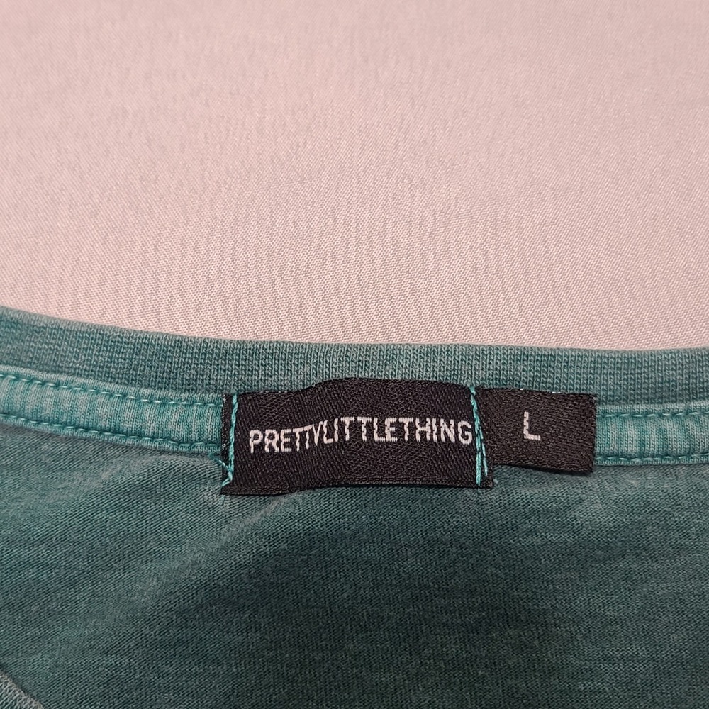 PrettyLittleThing Rocky Mountains Wildlife Tee Womens L Teal Graphic Retro Shirt - Picture 4 of 6